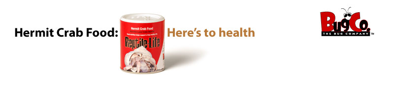 Hermit Crab Food: Here's to health