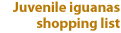 Juvenile iguanas shopping list