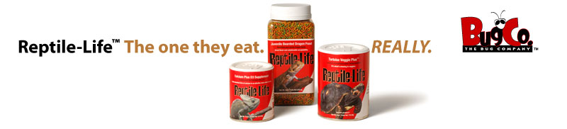 Reptile-Life The one they eat. Really!