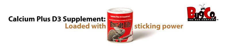 Calcium D3 Supplement: Loaded with sticking power