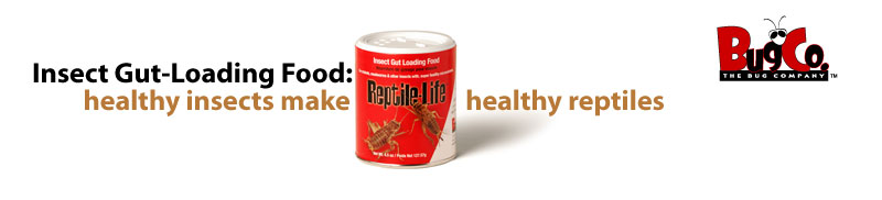Insect Gut-Loading Food: healthy insects make healthy reptiles