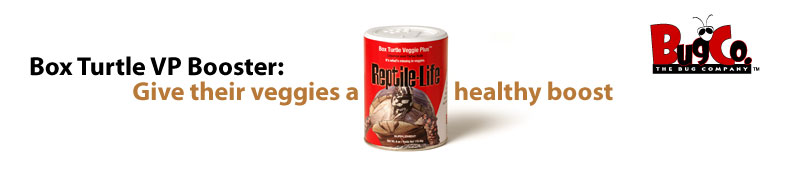 Box Turtle Veggie Plus Booster: Give their veggies a healthy boost